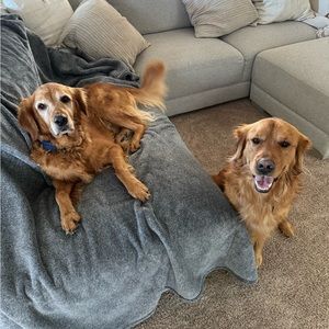 Meet your Posher, Ian